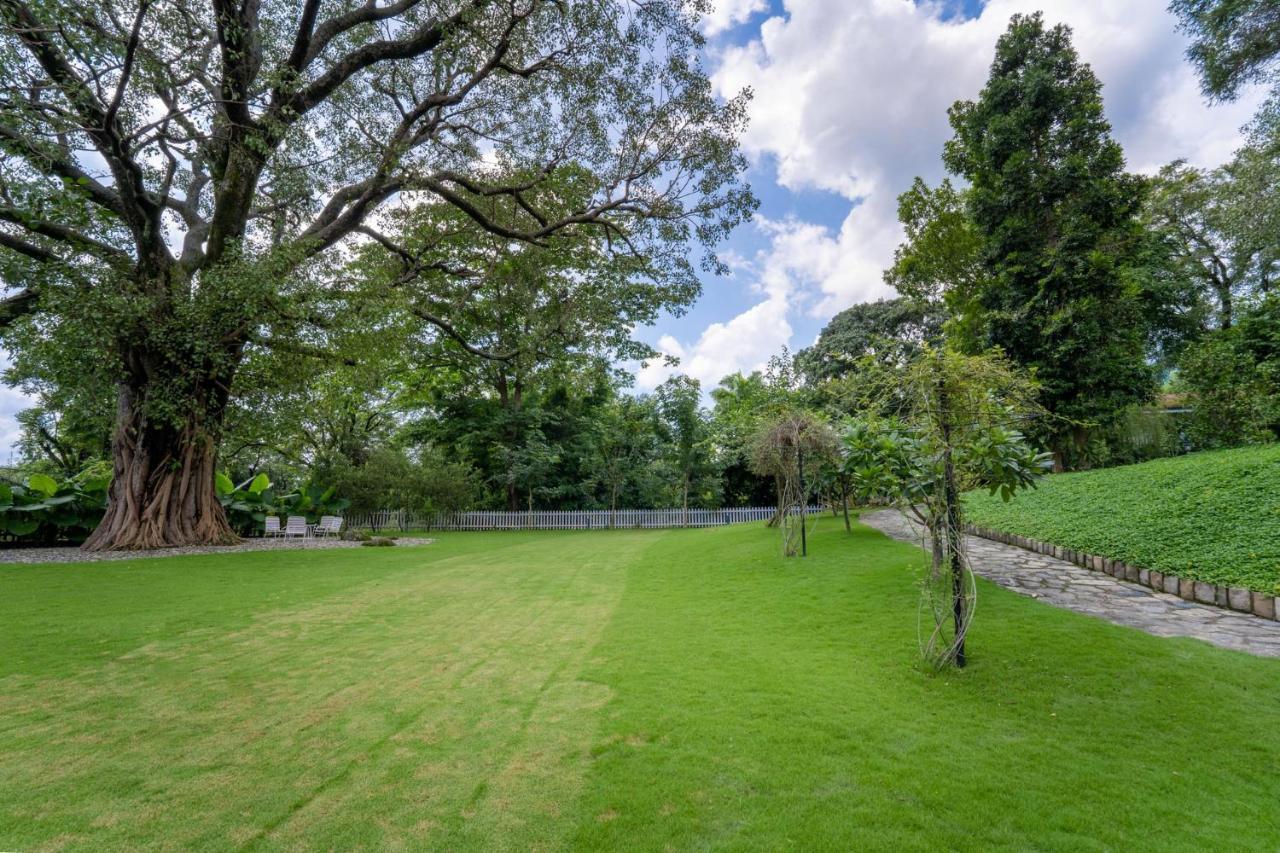 Lohonostays Ivy Cottage Dehradun Exteriör bild